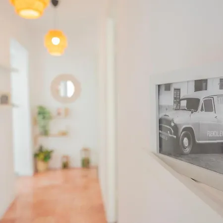 Apartman Carlota Cake